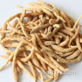 akar ginseng merah korea